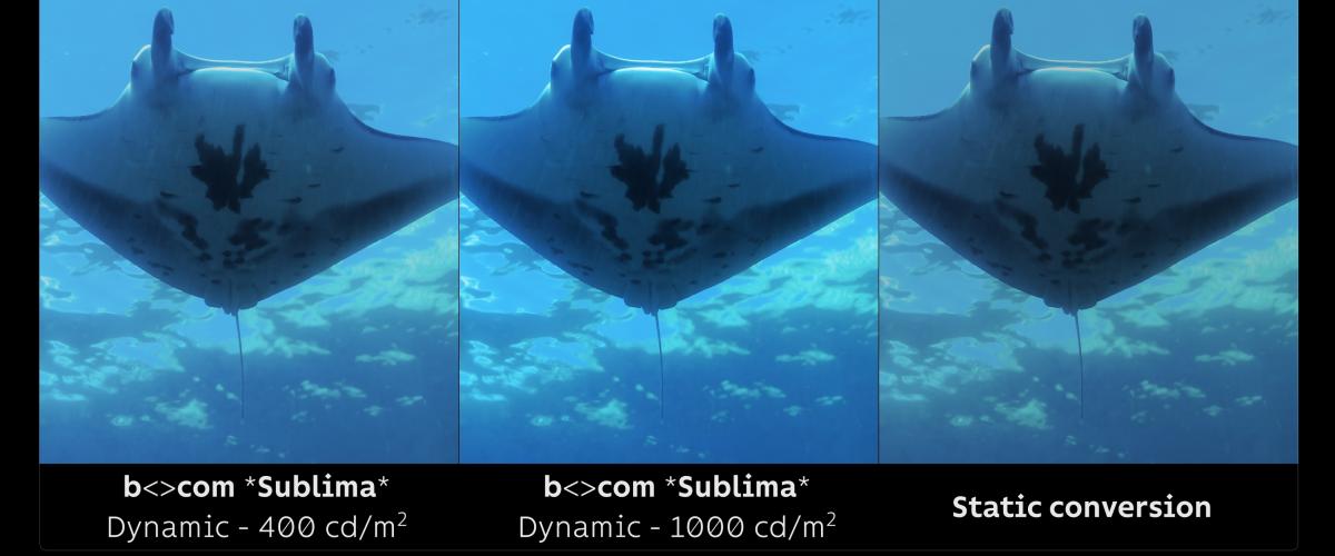 b-com sublima conversion