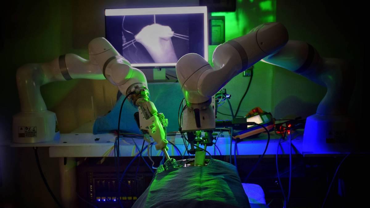 laparoscopic robot
