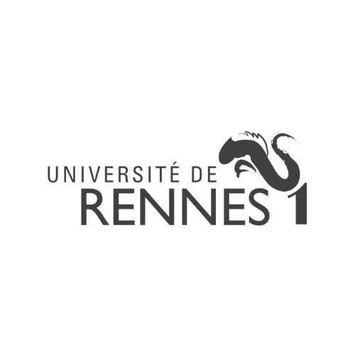 Université Rennes 1 - bcom